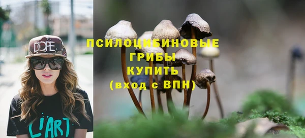 ПСИЛОЦИБИНОВЫЕ ГРИБЫ Вязники