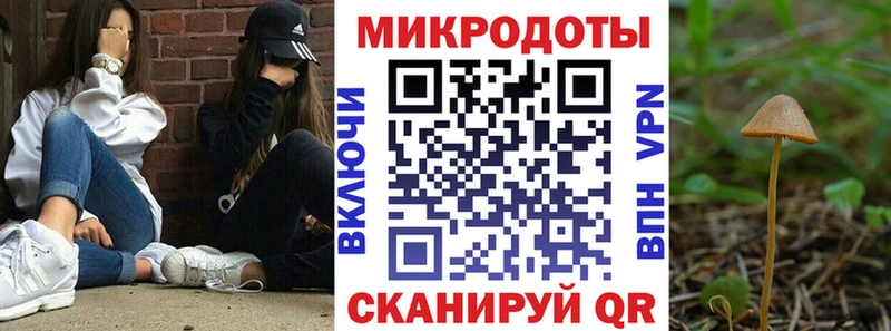 KRAKEN зеркало  Снежногорск  Галлюциногенные грибы ЛСД  где купить наркоту 